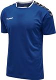 Hummel Hmlauthentic Poly Jersey S/S Shirt Heren