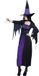Boland - Kostuum Purple witch (M) - Volwassenen - Heks - Halloween verkleedkleding