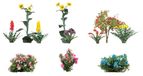 FALLER 1/87 BLOEMEN IN DE VOORTUIN (6/23)