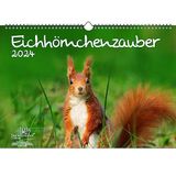 Eekhoorn Seelenzauber Eekhoorn betoverend DIN A3 kalender voor 2024 eekhoorns