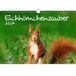 Eekhoorn Seelenzauber Eekhoorn betoverend DIN A3 kalender voor 2024 eekhoorns