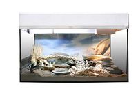 Lucky Reptile Wüstengecko Starter Kit 50 cm