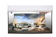 Lucky Reptile Wüstengecko Starter Kit 50 cm