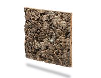 biOrb Achterwand eiken donker - Terrarium-achterwand, kurkuur, geschikt voor biOrb Earth