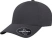 Flexfit - Delta Snapback Pet - Grijs