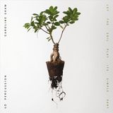Bertus Distributie Nonesuch Caroline Shaw: Let the Soil Play Its Simple Part