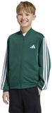 Adidas Essentials Climacool Trainingsjack Groen 13-14 Years Kinderen