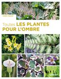 Toutes les plantes pour l'ombre