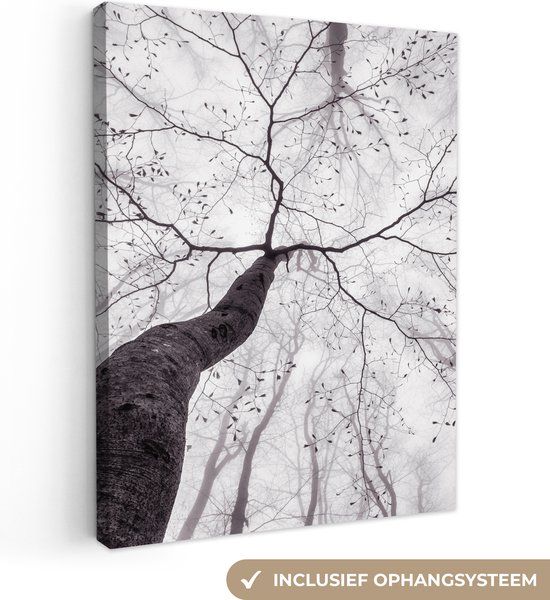 OneMillionCanvasses Canvas schilderij - Bomen - Mist - Natuur - Bos - 90x120 cm