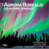 Aurora Brown Trout Aurora Borealis 2027 7 X 14 Inch (Hanging) Monthly Mini Wall Calendar English/French Bilingual