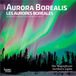 Aurora Brown Trout Aurora Borealis 2027 7 X 14 Inch (Hanging) Monthly Mini Wall Calendar English/French Bilingual