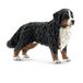 schleich FARM WORLD | Berner Sennenhond 16397 | 8 x 3 x 5 cm