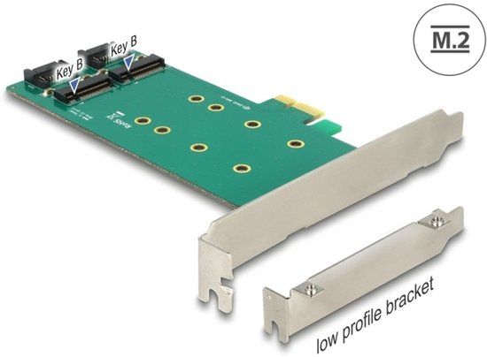 Delock PCI Express x1 Card > 2 x internal M.2 Key B 110 mm - Low Profile Form Factor