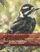 Bird Cross Stitch Pattern Collection: Black-Bodied Woodpecker