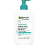 Garnier Pure Active Reiniging 250 ml