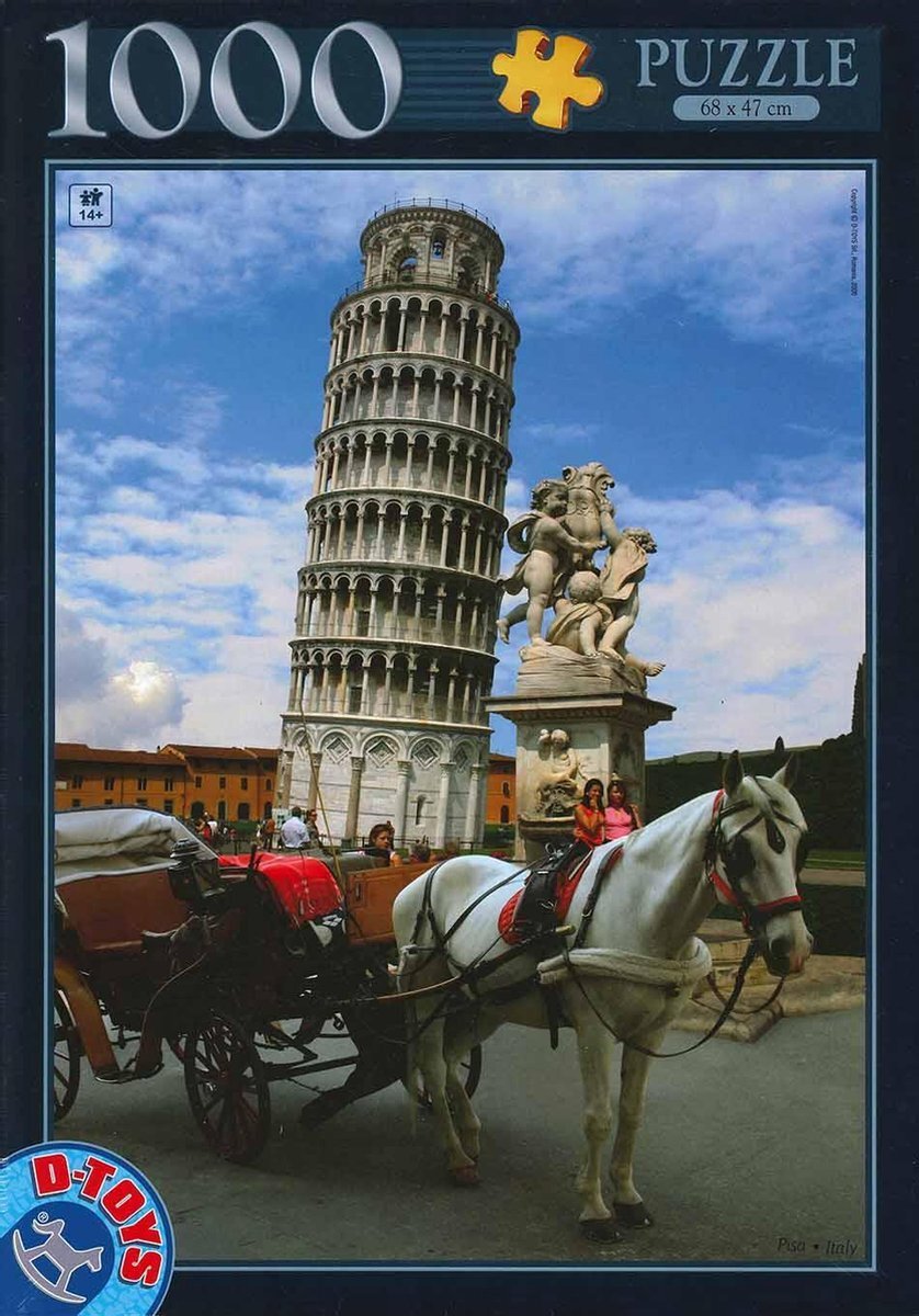 dtoys Puzzel - Toren van Pisa - 1000 Stukjes - D-Toys