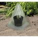 Garden Pleasure 504905 Housse de plante verte, PVC transparent