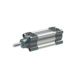 RIEGLER 106221-5.DMD.63125 standaard cilinder, dubbelwerkend, magneet, zuigerdiameter 63, hub 125, G 3/8, 1 st.