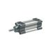 RIEGLER 106221-5.DMD.63125 standaard cilinder, dubbelwerkend, magneet, zuigerdiameter 63, hub 125, G 3/8, 1 st.
