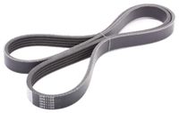 JAPANPARTS JPDV-5PK1105 V-riem