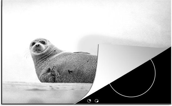 KitchenYeah® Inductie beschermer 77x51 cm - Zeehond zwart wit - Inductiebeschermer