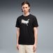 PUMA Functioneel shirt grijs / zwart / wit