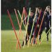 Precision Piquet d'entraînement (x12)