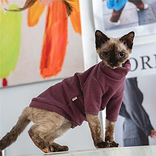 ZHIHAN Sphinx kattenkleding haarloze kat warme bodemshirt trui, foto kleur, XXXL+