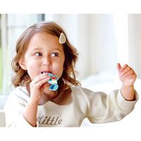 Hape Rhythm & Hum Pocket Kazoo set van 12.