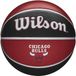 Wilson NBA Chicago Bulls Team Tribute Basketball - Taille 7 - Caoutchouc extérieur