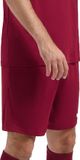 Nike Park III Short Heren - Bordeaux Rood - Maat XXL
