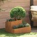 Maison Exclusive - Jardinière décorative, aspect rouille, 60 x 60 x 50 cm, en acier résistant aux intempéries