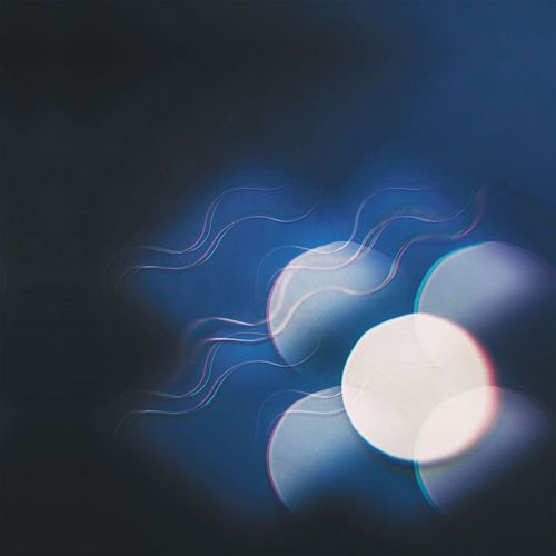 Mutual Benefit - Thunder Follows the Light - Vinyl