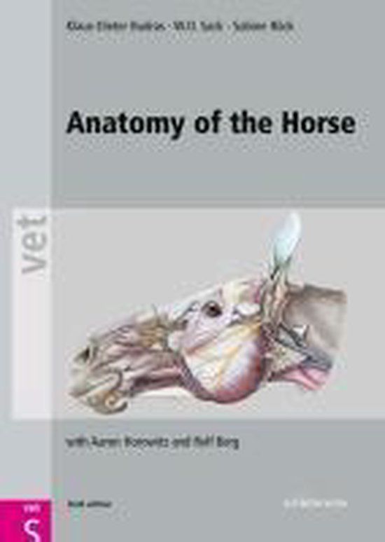 Anatomy Bol Anatomy Of The Horse Hardcover