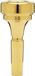 Denis Wick Cornet mondstuk DW4881 S