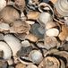 Intergard Schelpen - 650kgs - Groen