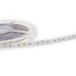 Prolumia LED Strip 5M | 24W 2700K 24V IP68