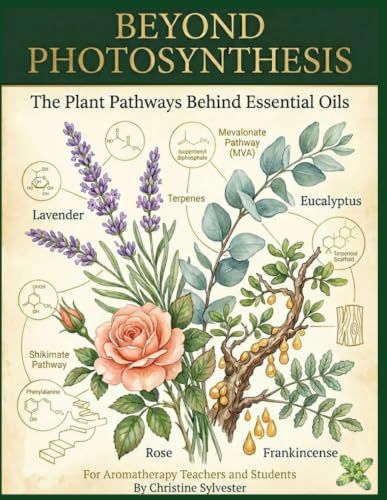 Beyond Photosynthesis: The Plant Pathways Behind Essential Oils