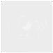 vidaXL - Plantenhoes - 2 x 2 m - PVC - Transparant