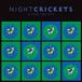 Bertus Distributie Night Crickets A Free Society CD