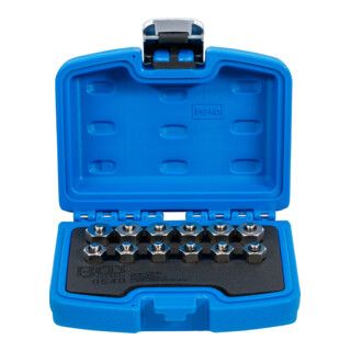 BGS Injector plug set 12 delig