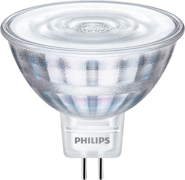 Philips Spot (dimbaar)