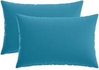 vidaXL Kussensloop 2 stuks Lichtblauw Polyester 40 x 60 cm