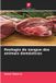 Reologia OmniScriptum SRL Reologia do sangue dos animais domésticos Paperback