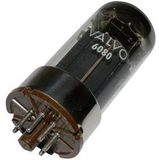 6080 VALVO 6080 = 6 A S 7 W Elektronenbuis Dubbeltriode 100 V 100 mA Aantal polen: 8 Fitting: Octal 1 stuk(s)