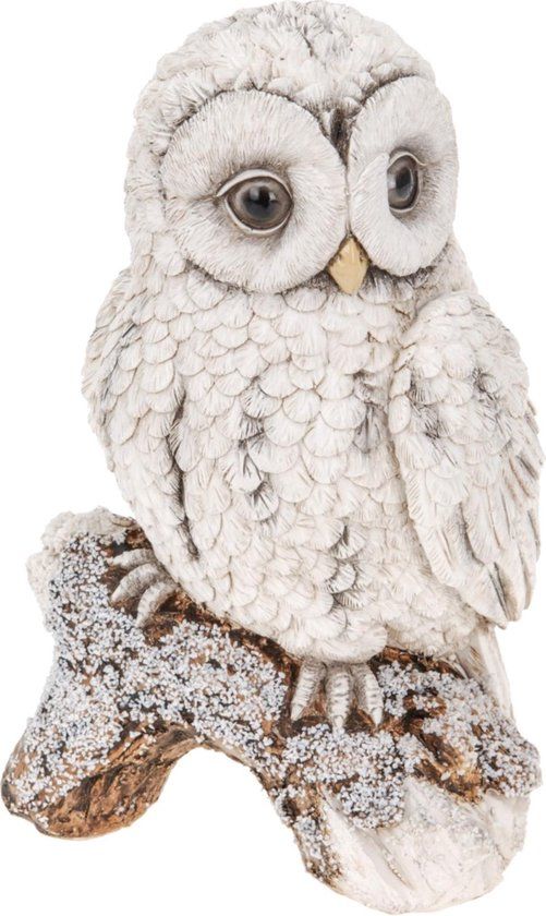 Merkloos Winteruil op tak 24cm poly