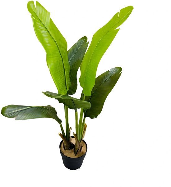 Buitengewoon Boet Kunstplant Strelitzia in Pot - 90 cm