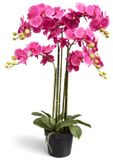 Oosterik Home Orchidee fuchsia in pot H 85 cm kunstplant