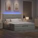 Prolenta Maison Exclusive - Ottoman bedframe met lichtgrijs matraskussen, 180x200 cm, fluweel