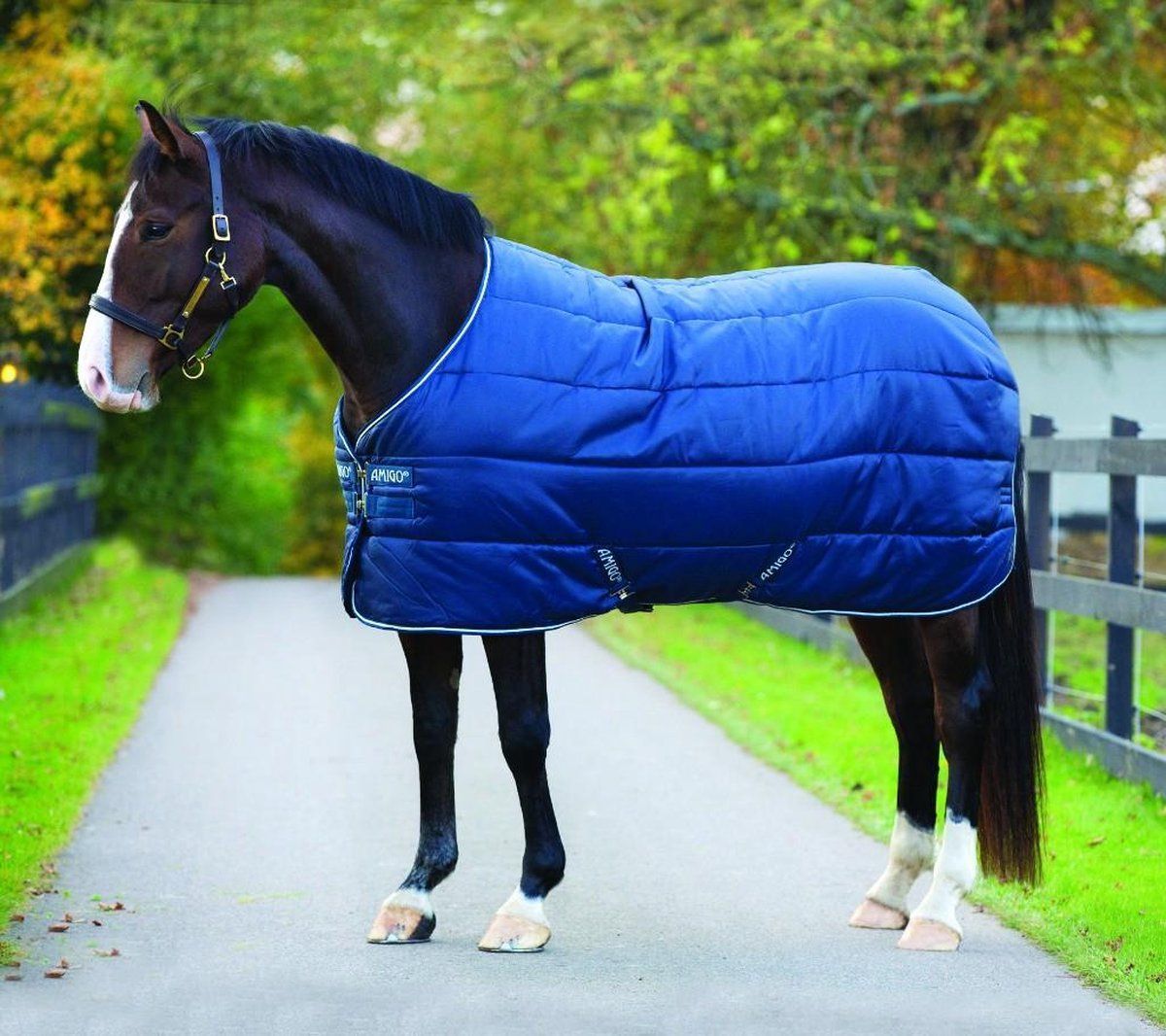 Amigo Horseware Amigo Insulator Lite 100G Navy Blue 160/213 cm